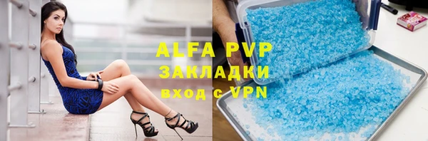 прущие грибы Киреевск