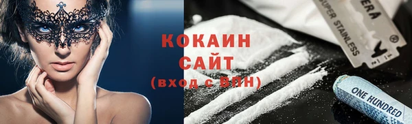 мдпв Козельск