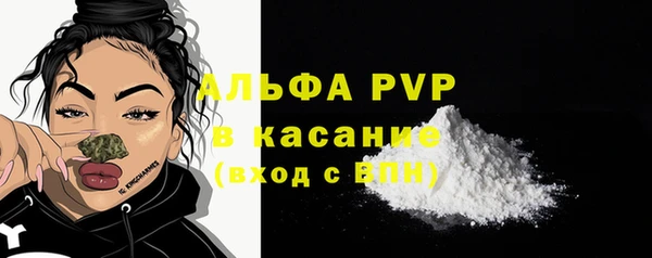 мдпв Козельск