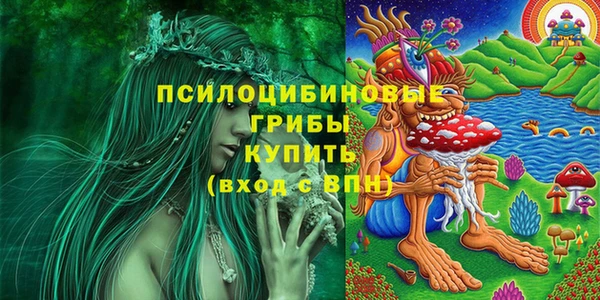 мдпв Козельск