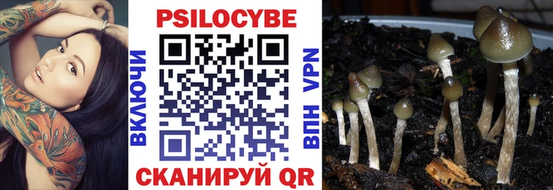 Купить где  Вяземский  Галлюциногенные грибы мицелий 